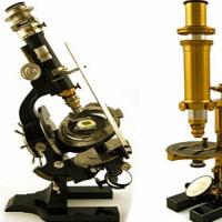 Микроскоп и его применение Значение микроскопа в современном мире